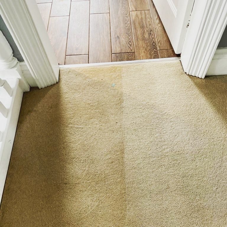ecoview-cleaning-carpet-comparison