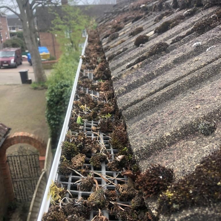 ecoview-cleaning-gutter-dirty